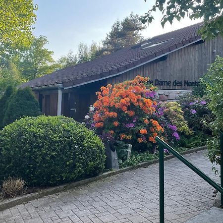 Notre Dame Des Monts Ξενοδοχείο Ban-sur-Meurthe-Clefcy Εξωτερικό φωτογραφία